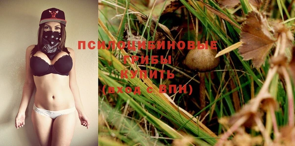 прущие крисы Балахна