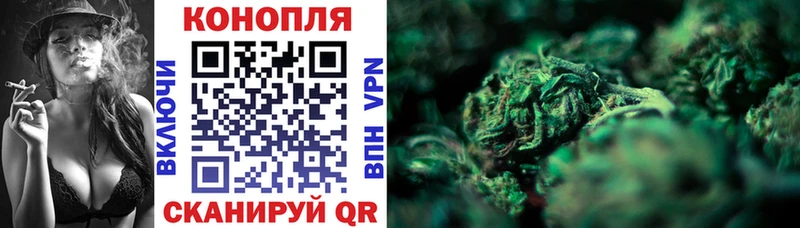 Каннабис Bruce Banner  Верхняя Пышма 